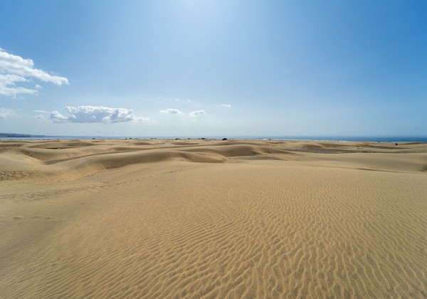 Deserts Deserts by Jakob Ujma